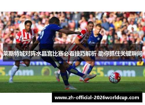 莱斯特城对阵水晶宫比赛必看技巧解析 助你抓住关键瞬间