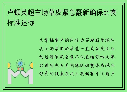 卢顿英超主场草皮紧急翻新确保比赛标准达标 卢顿英超主场草皮紧急翻新确保比赛标准达标